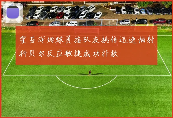 霍芬海姆球员接队友挑传迅速抽射科贝尔反应敏捷成功扑救